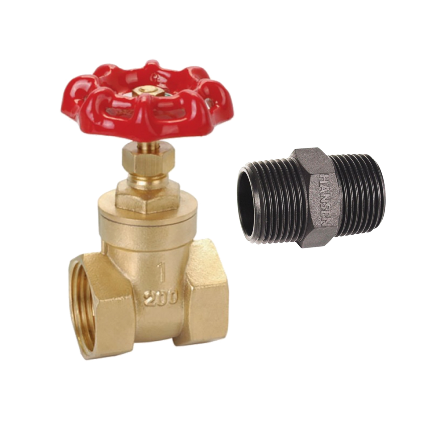 25mm Brass Gate Valve & Nipple